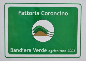 Bandiera verde 2005